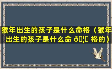 猴年出生的孩子是什么命格（猴年出生的孩子是什么命 🦊 格的）